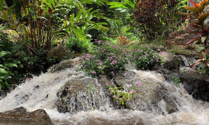 Kukuihaele Apartment | Inspired 1-BR, Magic Gardens, Stream and Waterfall