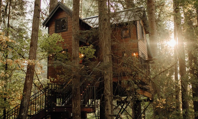 Ashford Apartment | Iron & Vine Treehouse at Mount Rainier