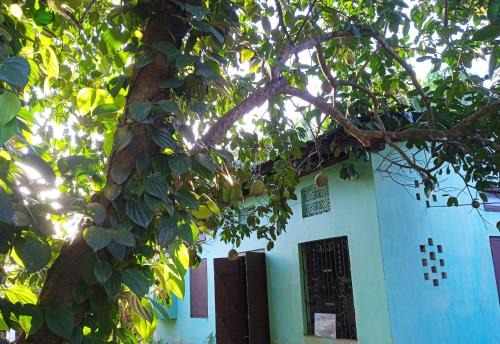 Lakhimpur House | Jacobs Homestay Unit 1 Low Budget