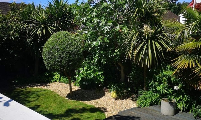 Poole House | Japanese Tree Cottage with Large Hot Tub