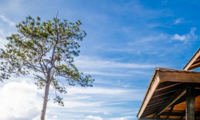 Jarabacoa Cabin | Jarabacoa Villas Ecolodge