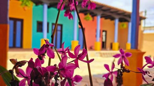 Comitan de Dominguez Hotel | Jazmin Hotel Boutique Colonial