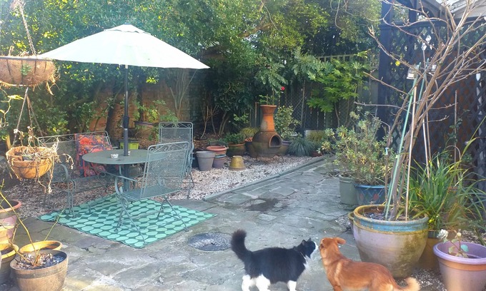 Hull Bed & Breakfast | Jesmond Vegan B&B