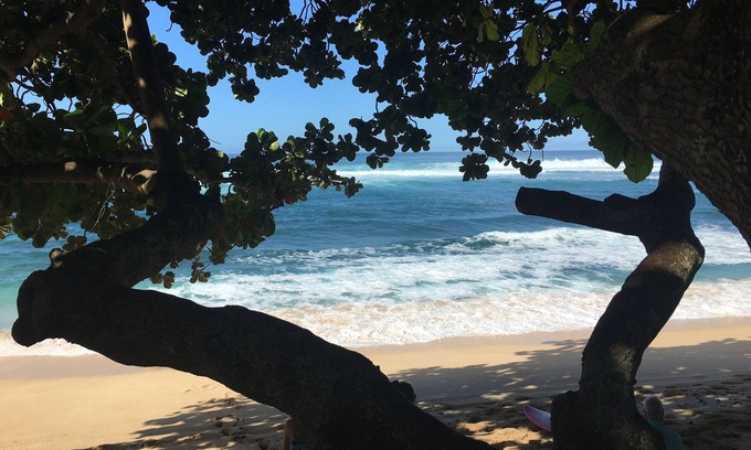 Pupukea House | Jewel Of Sunset Point at world famous Sunset Beach