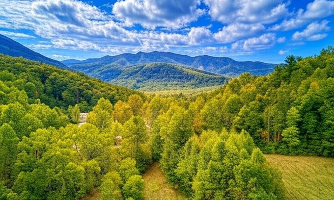Cosby Cottage | Jolly Jingle Cabin, Pickleball Court, WIFI, Mountain Views, Starting at $79