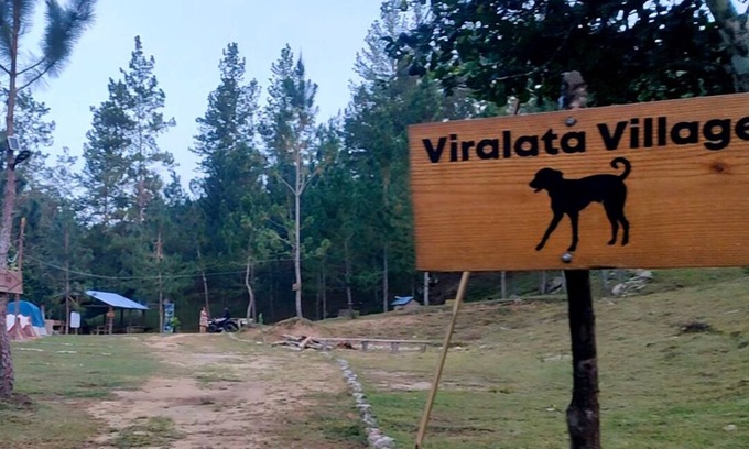 San Jose de las Matas Cabin | Junglavida