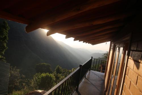 Ella Cabin | Jungle Cave