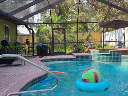Temple Terrace Apartment | Jungle Oasis By Busch Gardens USF and Amphitheater