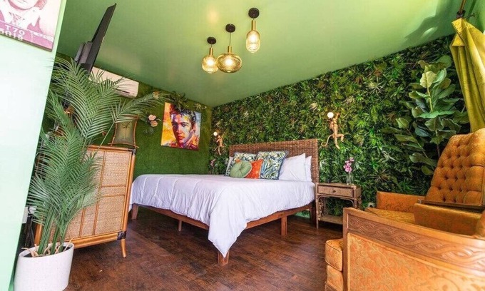 Trenton House | Jungle Room #7 - 1960 Retro Motel