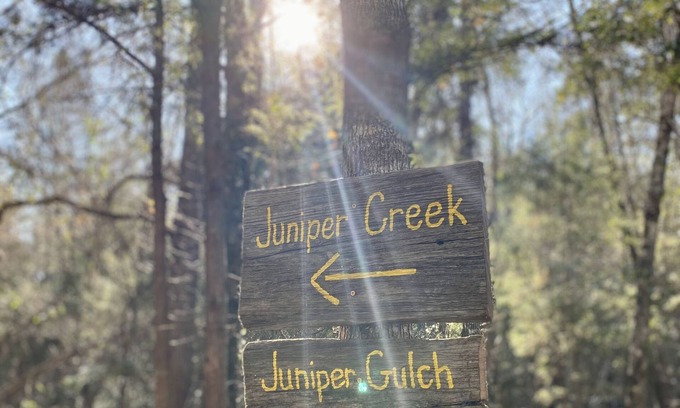 Harold Cottage | Juniper Creek Cottage- on 10 acres with a creek!