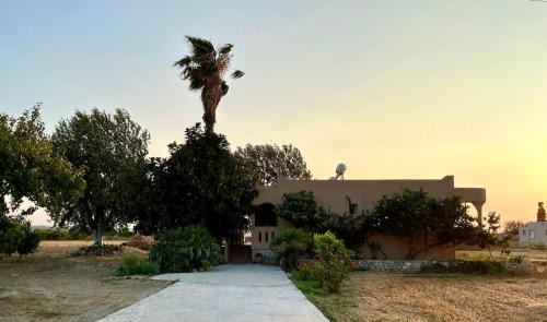 Marmari Bed & Breakfast | Kamara Apartments Marmari