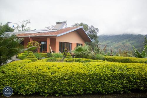 Ranomafana Apartment | Kambana Résidence