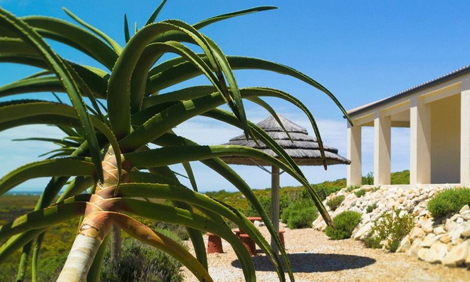 Pringle Bay House | Kapensis Guesthouse