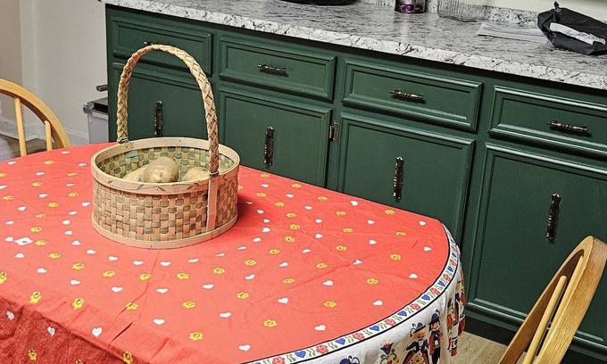 Dahlonega House | Keith Retreat Terrace: Mountain views, wineries -for singles and couples