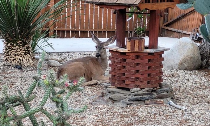 Kernville House | Kernville - walk to River Kern & Downtown