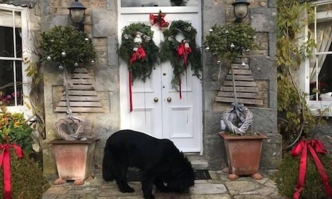 Axminster Hotel | Kerrington House