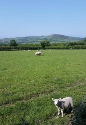 Cushendall Bed & Breakfast | Killoughagh House