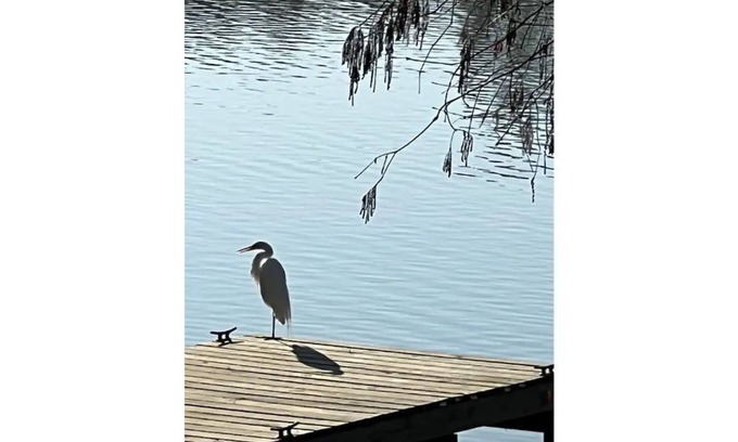 Kingwood Cottage | Kingwood Cove Cottage - 10 mins from IAH - Water Front