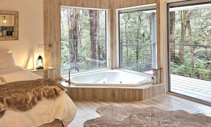 Mount Dandenong Cabin | Klara's Studio: Private rainforest with river