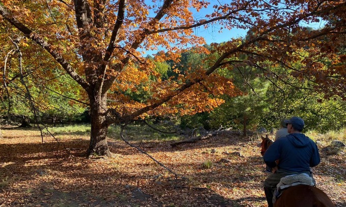 Villa Berna Cottage | Kleines Landhaus in 25 Ha in den Bergen von Córdoba, im Herz Argentiniens