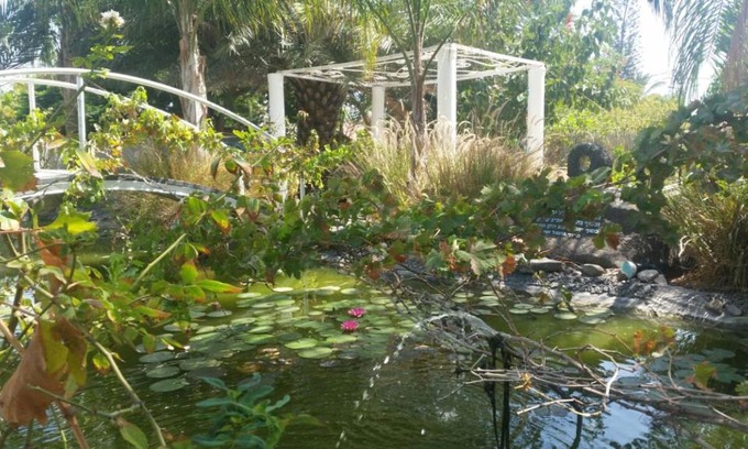 Kinneret Cabin | Kmo Yam In The Love Garden