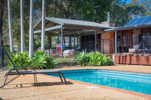 Port Macquarie House | Koalas at Links Lighthouse Beach