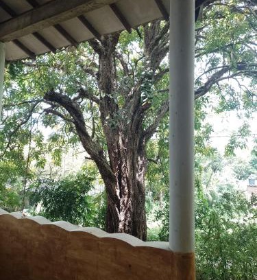 Dambulla House | Kon Tree Shade