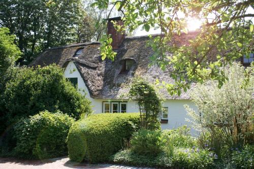 Tetenbull House | Krabbe 32