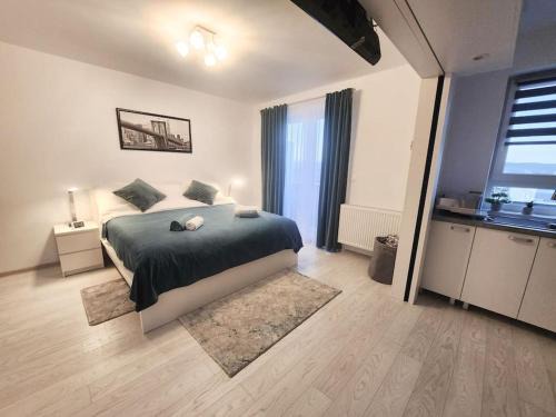 Tirgu Mures Apartment | Kriss Studio-Classy White Apartment