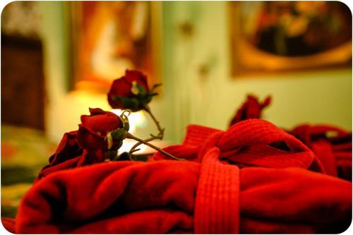 Sha'al House | Kucha in the Village