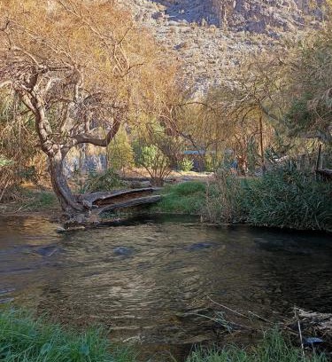 Vicuna House | La cabaña del rio Rivadavia