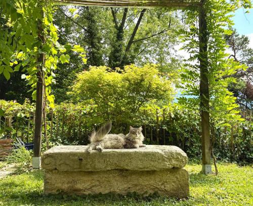 Delemont Apartment | La Capucine