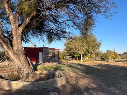 Chilecito House | La Casa del Hornero en Chilecito