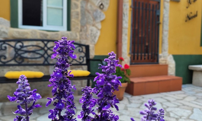 Morana House | La Casita A de Naval in the Rías Baixas, Pontevedra (activities for customers)