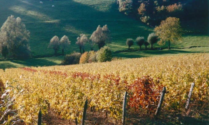Grusse Apartment | La roche saint Roch, loft apartment in a winegrowing village