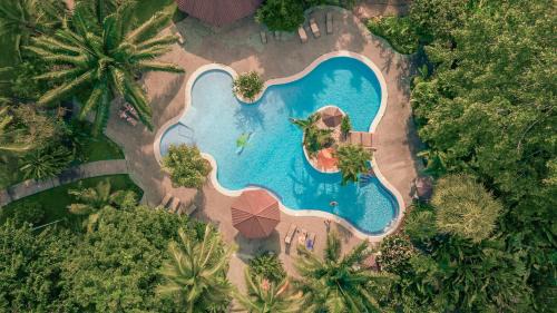 Tortuguero Cabin | Laguna Lodge Full Board