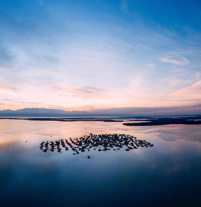 Sitionuevo Apartment | Laguna tour