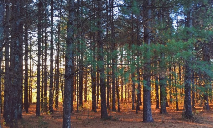 Morganton House | LAKE JAMES/Morganton: Peaceful, nature setting-3 acres/pond!