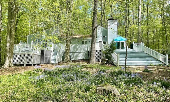 Hillsborough Cottage | Lake Overlook Retreat - 5 acre nature preserve near the Eno River, UNC & Duke