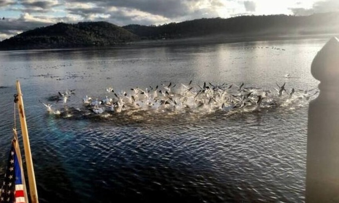 Clearlake Park House | Lakefront Guest Suite with Spa and Dock