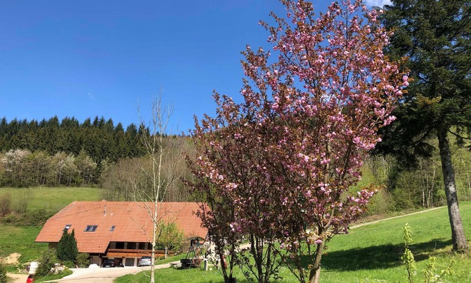 Waldkirch Apartment | Langmichelhof - Apartment 32sqm, 1 living room/bedroom