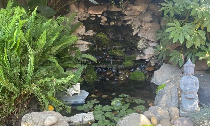 Visalia House | Large Groups Sequoia Park, CA Coast Wineries, Skiing. Enjoy Fire Pit, Hot Tub, Outdoor Kitchen