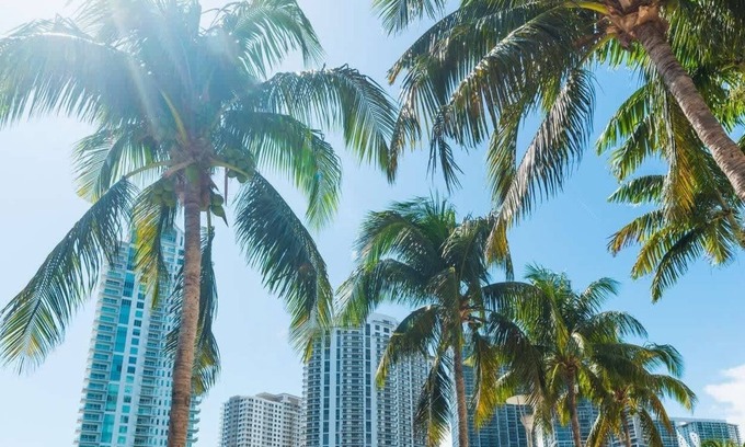 Northeast Miami Apartment | Large Studio w/Fast Wi-Fi + Free Parking Spot