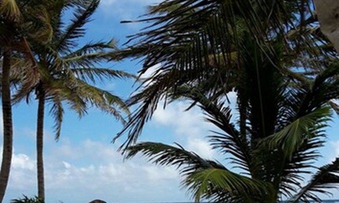 Mahahual Hotel | Las Cabañas Del Doctor