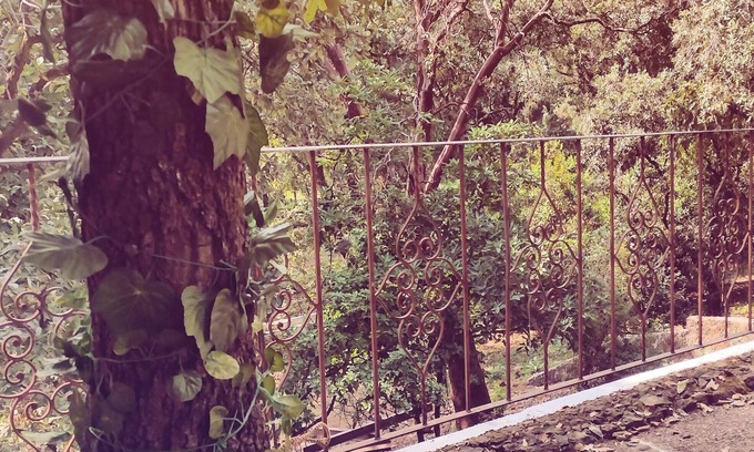 Santa Catarina Cabin | Las Casitas en Tepoz Desconéctate y Reconecta en Armonía