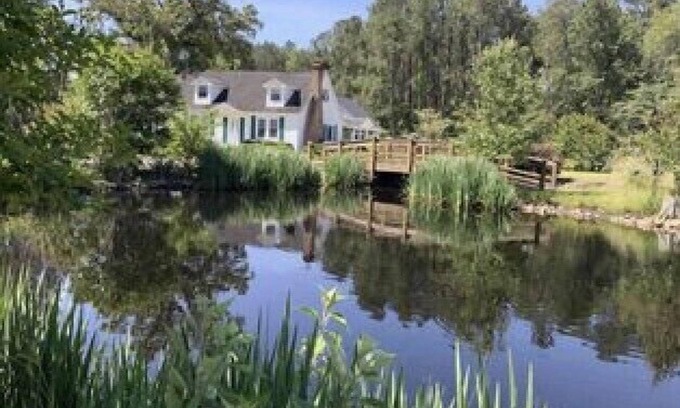 Ehrhardt Other | Lazy Dog Acres