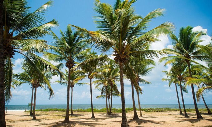 Candeias Apartment | Lindo apto à beira-mar, Jaboatão dos Guararapes/PE