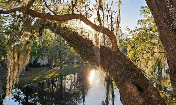Georgetown Condo | Little slice of heaven 2-bedroom condo in superb Georgetown with deck on lake
