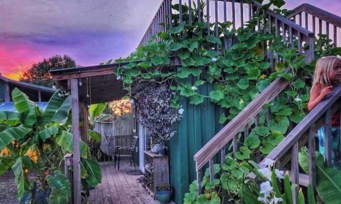 Willard Other | Lizzy Lou's Flower House - The Bluebelle