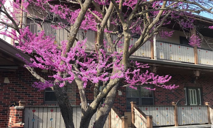 Topeka Ski Chalet | Located on a 12 acre orchard, this large upscale home features stunning views